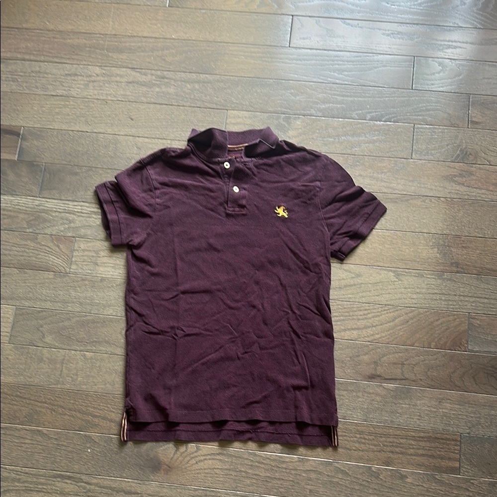 Express Dark Maroon Polo Shirt